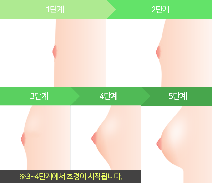 컨텐츠 이미지