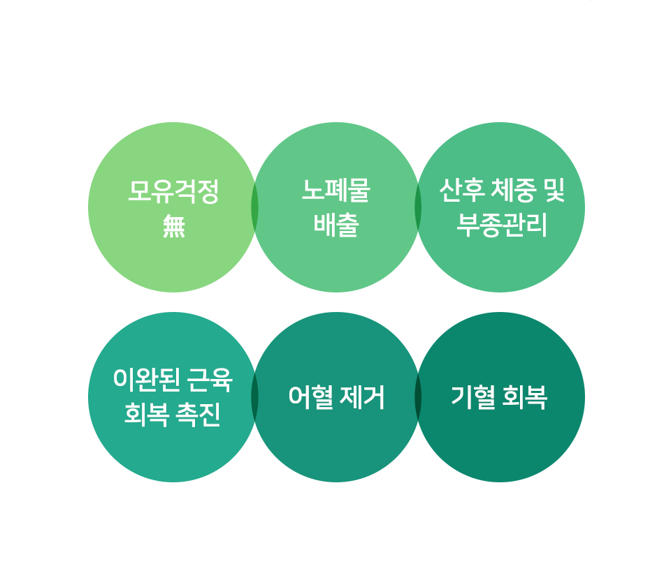 컨텐츠 이미지